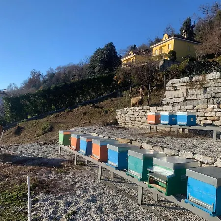 Sole * Вербания