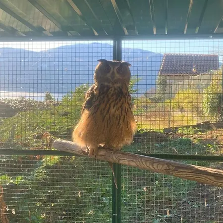 Apartamento Sole Verbania