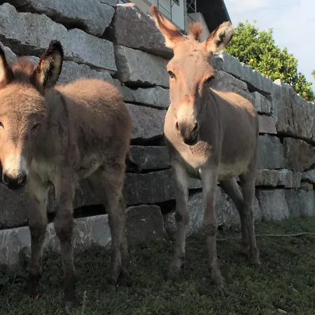 Апартаменты Sole *