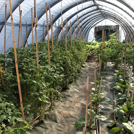 Sole Апартаменты