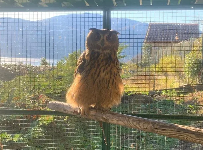 Lejlighed Sole Verbania