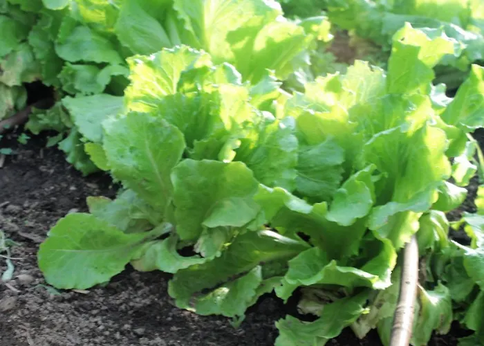 Appartement Sole Verbania